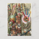 Pesquisar por tribos cartoes postais Africano