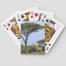 Pesquisar por sul baralhos Árvore