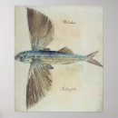 Pesquisar por 16o pósteres pôsteres Prata