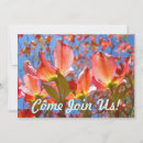 Pesquisar por dogwood convites Natureza