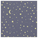 Pesquisar por céu estrelado artesanato material Lua