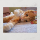 Pesquisar por berço cartoes postais Fofofo