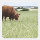 Pesquisar por pastagem adesivos Agricultura