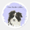 Pesquisar por collies de beira Animal
