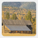 Pesquisar por madeira velha Fazenda