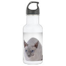 Pesquisar por canadense garrafa agua Gato