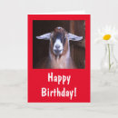 Pesquisar por cabra bonito cartoes Qualquer pessoa