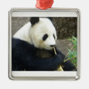 Pesquisar por panda do natal ornamentos Fofofo