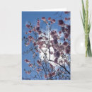 Pesquisar por cherry cartoes Blossom