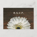 Pesquisar por gerberas 9 13 convites Rsvp