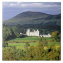 Pesquisar por viagem azulejos Castelo