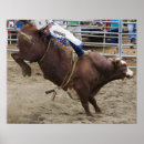 Pesquisar por touro rodeio pósteres pôsteres Perigo