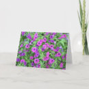 Pesquisar por paisagem flores cartoes Plantas