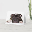 Pesquisar por staffordshire bull terrier cartoes Staffie