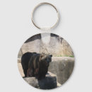 Pesquisar por zoo chaveiros Urso
