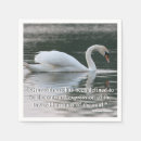 Pesquisar por cisne muda Cisnes mudas