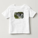 Pesquisar por catarata camisetas Névoa