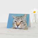 Pesquisar por gato doente cartoes Incentivo