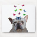 Pesquisar por bulldog eletronicos Animais