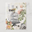 Pesquisar por birdcage cartoes postais Vintage