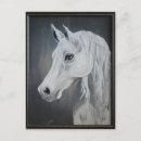 Pesquisar por cavalo árabe cartoes postais Animal