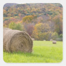 Pesquisar por paisagem rural adesivos Folhagem