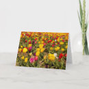 Pesquisar por flores amarelas e brancas cartoes Tulipas
