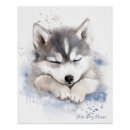 Pesquisar por husky siberiano pôsteres Filhote