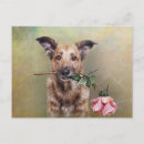 Pesquisar por desenho engraçado cartoes postais Cão