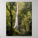 Pesquisar por ilha grande pôsteres Imagem a cores