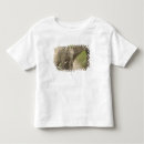 Pesquisar por elefante indiano camisetas Brincando