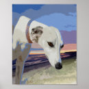 Pesquisar por galgo pósteres pôsteres Chicote