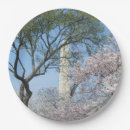 Pesquisar por cherry blossom pratos Flor