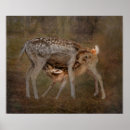 Pesquisar por pomada pôsteres Coroa