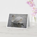 Pesquisar por swan cartoes Obrigado