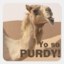 Pesquisar por camel adesivos Animais