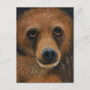 Pesquisar por brown bear cartoes postais Vida selvagem