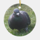 Pesquisar por pomba ornamentos Animais