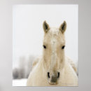 Pesquisar por cabeça de cavalo pôsteres Natureza