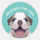 Pesquisar por alvenaria adesivos Cão