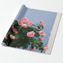 Pesquisar por flores do vermelho azul papel de presente Rosa