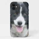 Pesquisar por reunião de border collie Animais de estimação