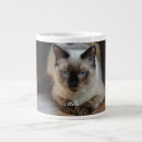 Pesquisar por gato ragdoll canecas Fofo