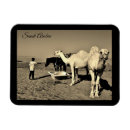 Pesquisar por camelo imas Deserto