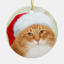 Pesquisar por barba ornamentos Xmas