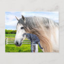 Pesquisar por pintura do cavalo cartoes postais Belas artes