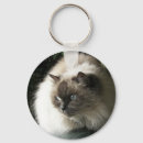 Pesquisar por puss Gato