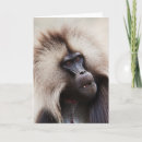 Pesquisar por wildlife cartoes Wild animal