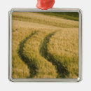 Pesquisar por trigo ornamentos Paisagem