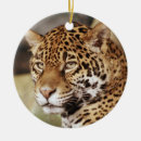Pesquisar por jaguar ornamentos Animal